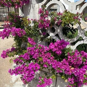 Meet your Posher, Saskia